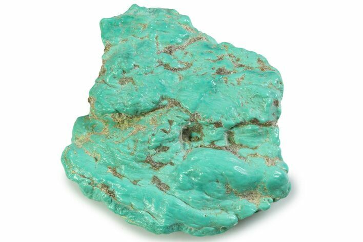 Polished Chilean Turquoise ( grams) Nugget #358824